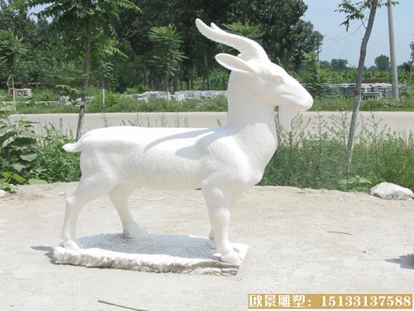 汉白玉石雕山羊 动物山羊雕塑 山羊雕塑图片 山羊雕塑实景图